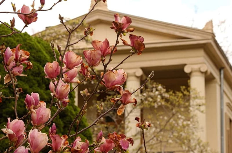 5h Potsdam private tour with Guide, Chauffeur & Photographer - What the $660 group price means