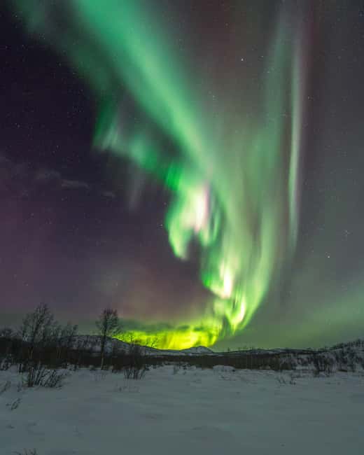 Abisko: Aurora Car Chasing Tour with Photographer - What the photographer adds