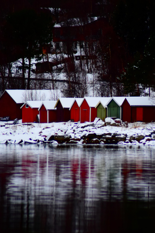 Abisko: Fjord Sightseeing and Photography Tour - Choosing between fjords, Narvik, and Bjerkvik