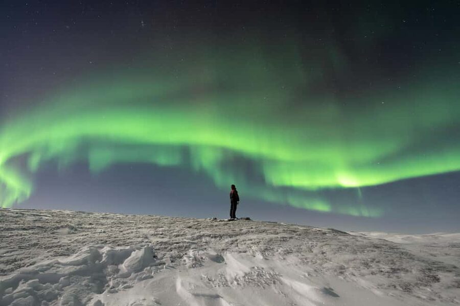 Abisko: Northern Lights Photography Tour with Dinner - How much value do you get for $230?