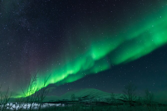 Abisko Northern Lights Tour with Photographer - When the route reaches Kiruna’s boreal forest