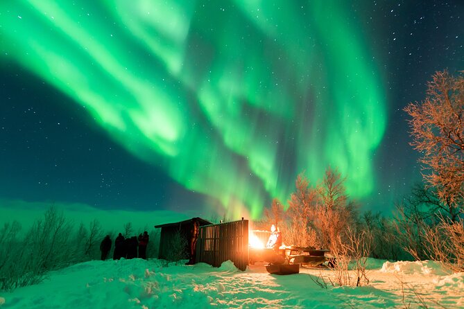 Abisko Northern Lights Tour with Photographer - Should you book the Abisko Northern Lights Tour with Photographer?