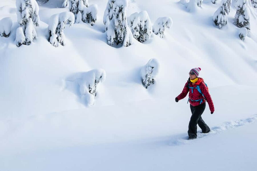 Abisko: Photo Hike with Professional Photographer - Starting from Abisko accommodation