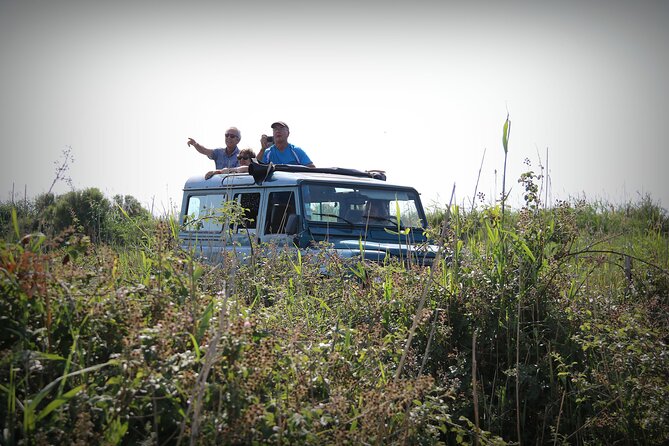 Aigues Mortes: 4x4 photo safari in the Camargue - A possible rosé tasting at the end
