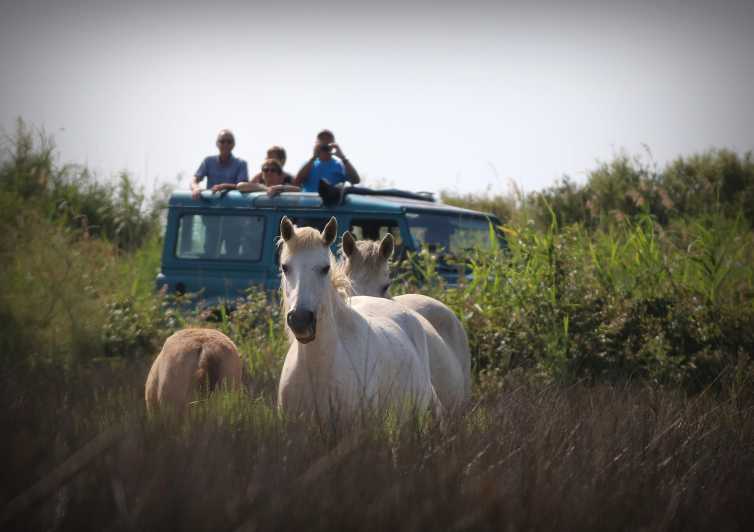 Aigues Mortes: Jeep Photo Safari in Camargue - What the 210-minute ride feels like