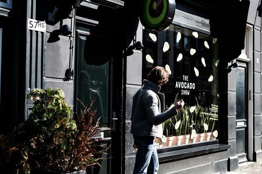 Amsterdam: Instagram Scenic Photo Spots & Moco Museum Tour - Key points to know before booking