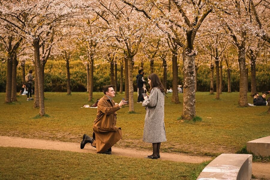 Amsterdam Photographer: Private Proposal Photoshoot Session - The proposal moment itself