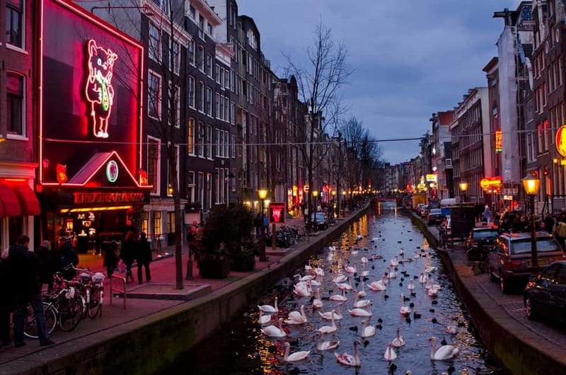 Amsterdam: Photography Masterclass - Private Photo Lesson - Training your eye, not just changing settings