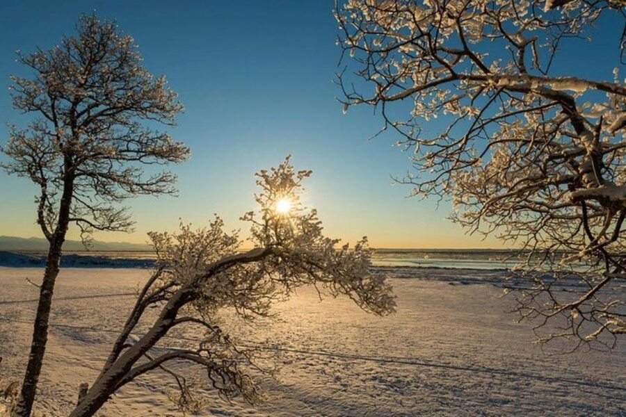 Anchorage: Sunset Photo Safari - Is $200 a fair price for four hours?
