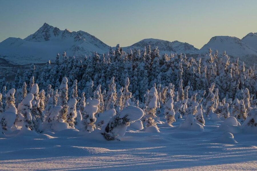 Anchorage: Winter Wonderland Photo Tour - Four hours of winter scenery outside Anchorage
