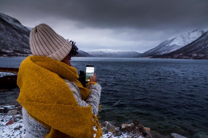 Arctic Nature Photography Sightseeing Tour from Tromso - Who will enjoy this Kvaløya trip most