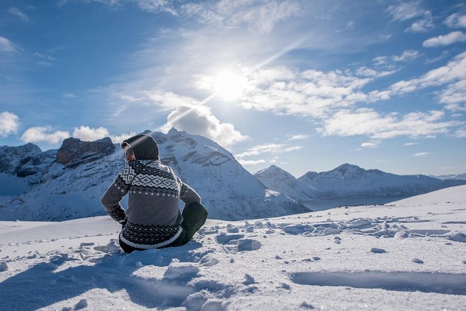 Arctic Nature Photography Sightseeing Tour from Tromso - What the five-hour outing feels like
