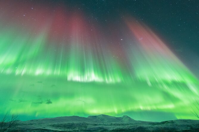 Aurora Hunt with the campfire and professional photographer - Professional photos without camera work