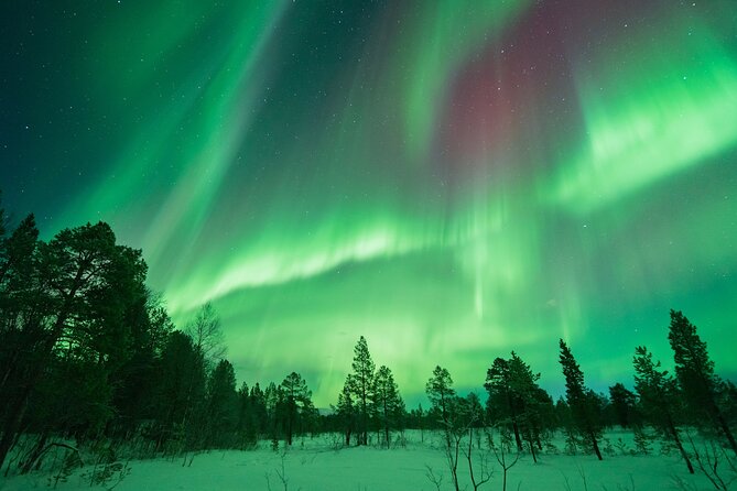 Aurora Hunt with the campfire and professional photographer - Is $182.47 a fair price?