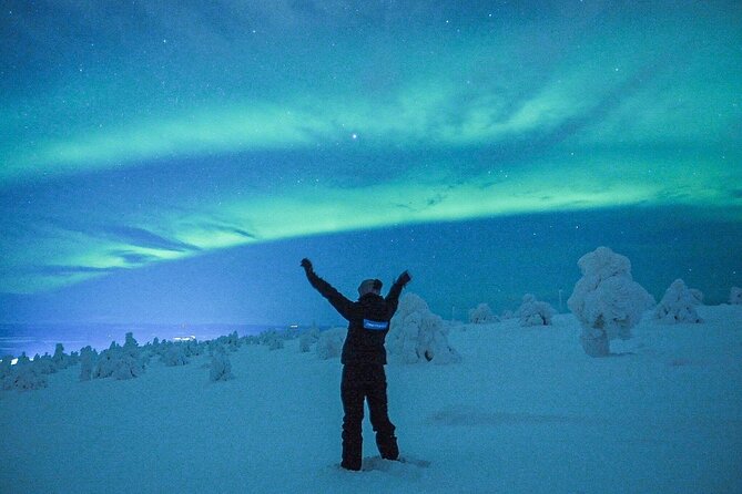 Aurora Photography Tour 3 HOURS - Hot berry juice, cookies, and the cold factor