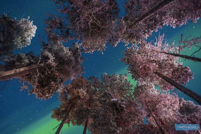 Aurora Photography Tour 3 HOURS - Making the most of the photography side