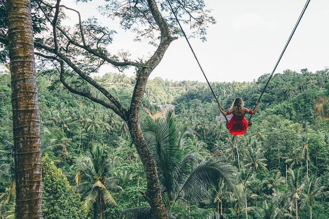 Bali Instagram Tour from Your Hotel (Private & Full-day) - Starting before sunrise for Lempuyang Temple