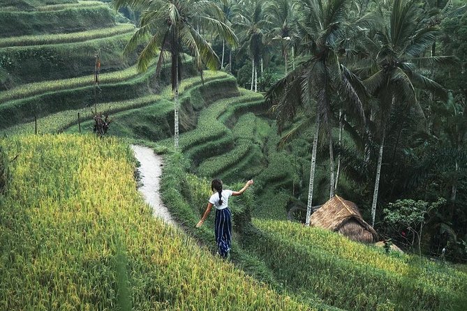 Bali Instagram Tour from Your Hotel (Private & Full-day) - Rice terraces, temples, and Ubud