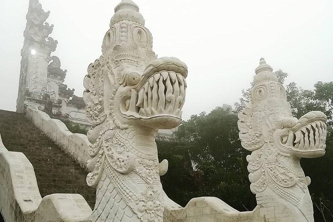 Bali Instagram Tour from Your Hotel (Private & Full-day) - The driver makes or breaks the day