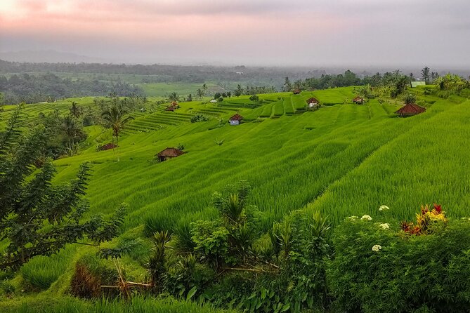 Bali Instagram Tour - Lempuyang Bali Gate of Heaven - Should you book it?