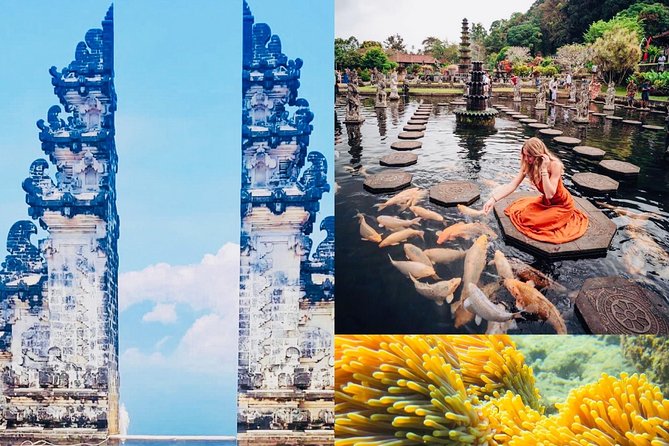 Bali Instagram Tour: The Most Popular Spots ( Private All-Inclusive ) - Tirta Gangga’s ponds, fountains, and royal setting