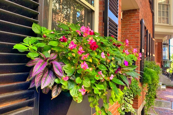 Beacon Hill Boston History + Photo Walking Tour (SMALL Group) - Louisburg Square and Beacon Hill’s grander side