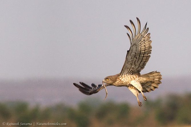 Birding & Bird Photography tour in Bangalore - Setting out before breakfast crowds