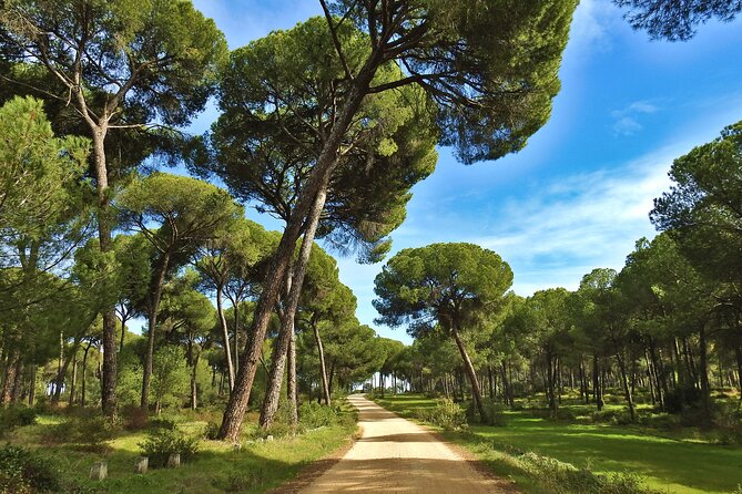 Birding & Photography Day Trip to Doñana from Seville - What the $150.85 price really covers