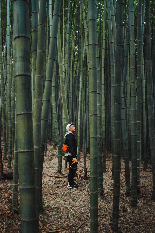 Busan: Small Group Photo Tour with Hotel Pick-up & Drop-off - Ahopsan Forest and its bamboo paths