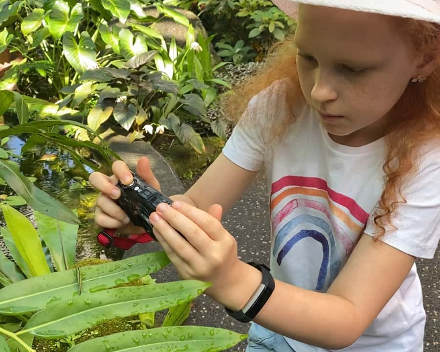 Cairns: Insect Photography Tour of Cairns Botanic Gardens - Should you book the Cairns insect photography tour?