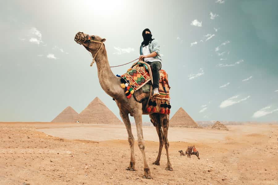 Cairo: Pyramids, Bazaar, Citadel Tour with Photographer - Key points at a glance