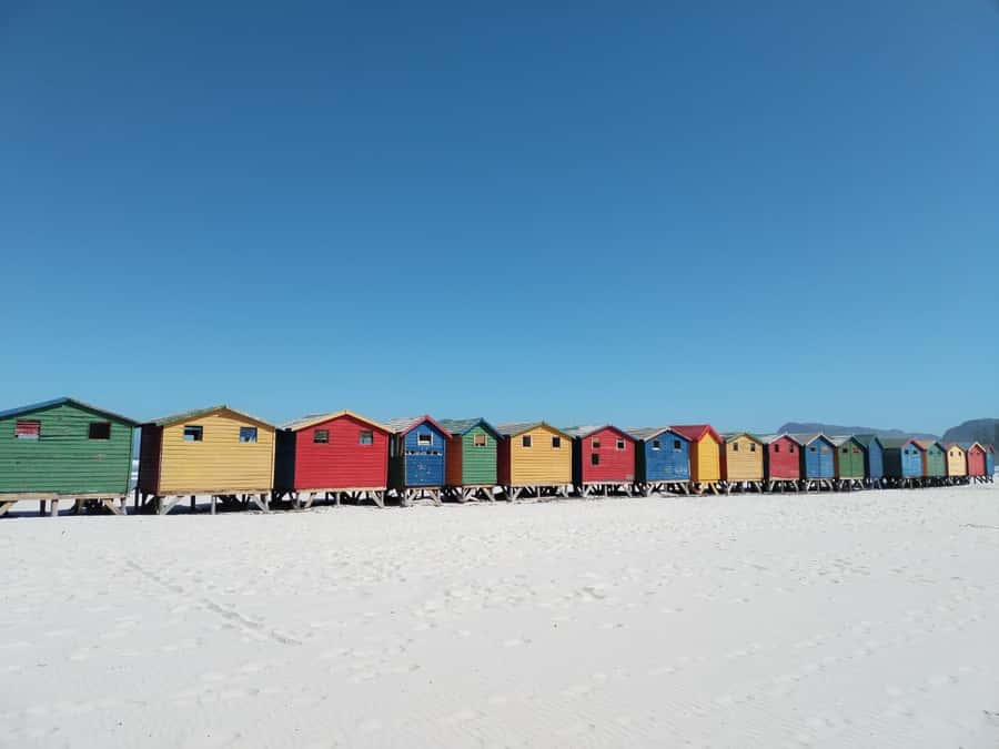 Cape Town: Cape of Good Hope, Penguins Instagram Group Tour - The ostrich farm photo stop
