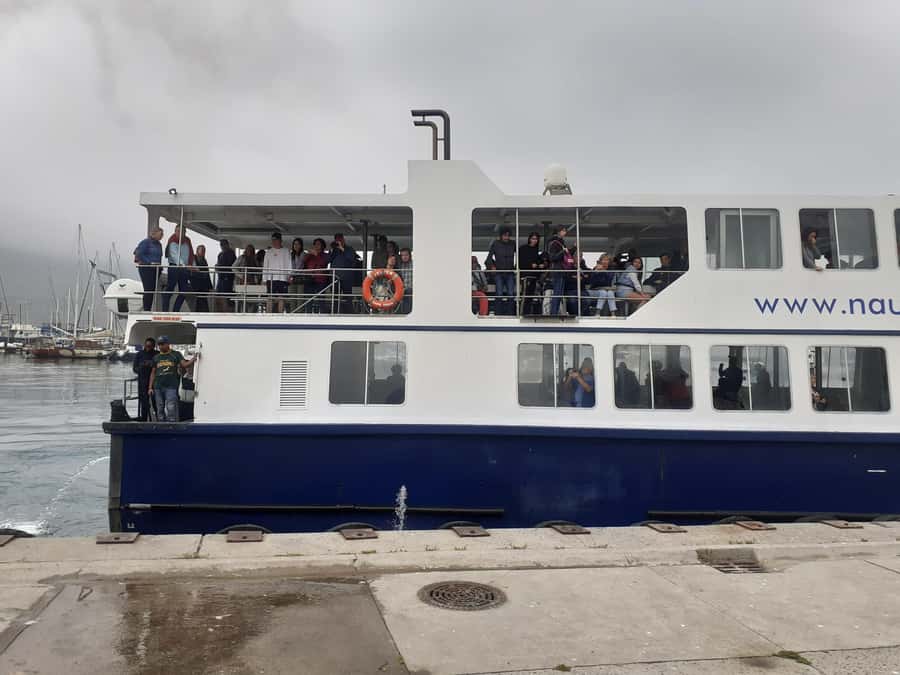 Cape Town: Cape of Good Hope, Penguins Instagram Group Tour - Starting along Sea Point, Bantry Bay, and Clifton