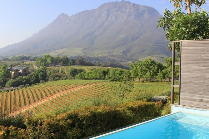 Cape Town Photo Walk & City Tour - The wine itinerary needs clarification