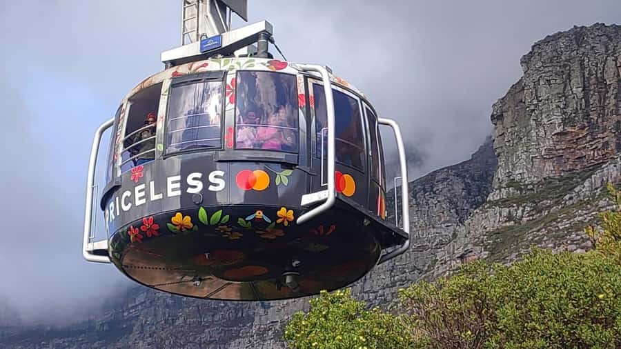 Cape Town: Table MT, Cape Point & Penguins Instagram Tour - Key points at a glance