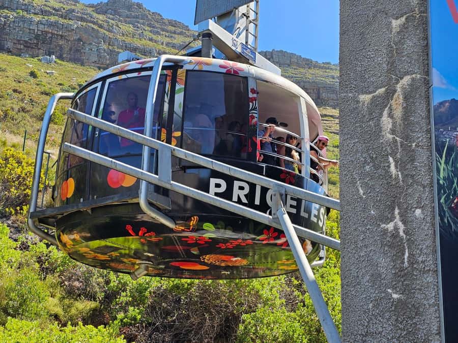 Cape Town: Table MT, Cape Point & Penguins Instagram Tour - Starting above Cape Town at Table Mountain