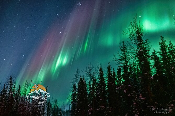 Capturing the Ethereal Beauty: Northern Lights Photo Workshop - Key points to know before booking