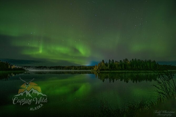 Capturing the Ethereal Beauty: Northern Lights Photo Workshop - How this compares with a basic aurora outing