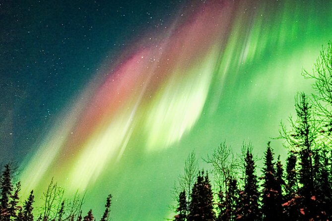 Capturing the Ethereal Beauty: Northern Lights Photo Workshop - Staying warm while you wait for the sky