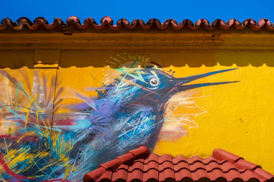 Cartagena Instagram Mobile Workshop: Scenic and Trendy Shots - Reading Getsemani through a phone camera