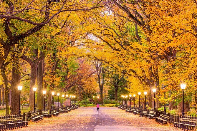 Central Park Photography Tour with Local Photographer - Key points at a glance