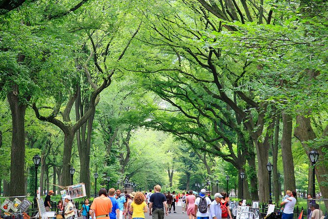 Central Park Photography Tour with Local Photographer - Naumburg Bandshell and Central Park views