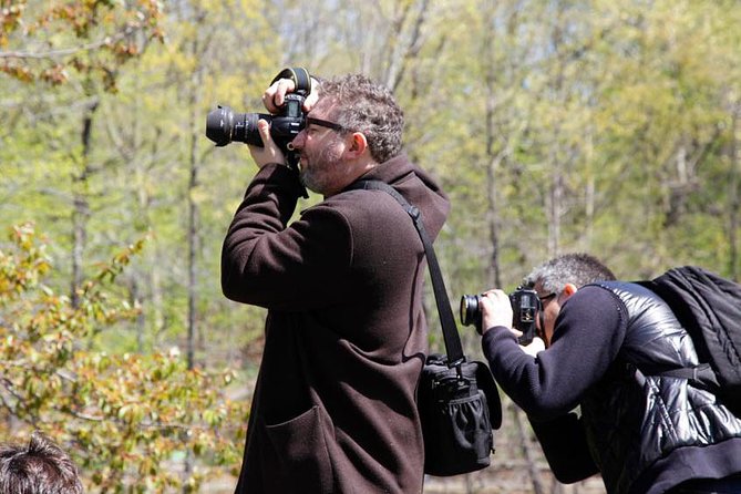 Central Park Photography Tour with Local Photographer - The Metropolitan Museum of Art and American Museum of Natural History