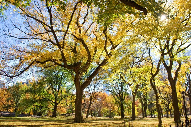 Central Park Photography Tour with Local Photographer - Shakespeare Garden in spring and summer