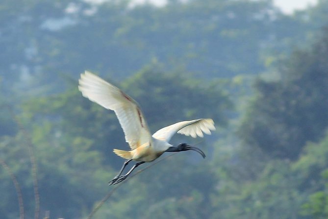 Chennai, Guided Birding And Birding Photo Trip With Spot Scope, 2 to 3 Hours - Why this Chennai birding trip is different