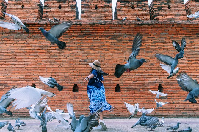 ️ Chiang Mai Instagram Tour: Most Famous Spots (Private and All-Inclusive) - Old-city temples fill out the cultural picture