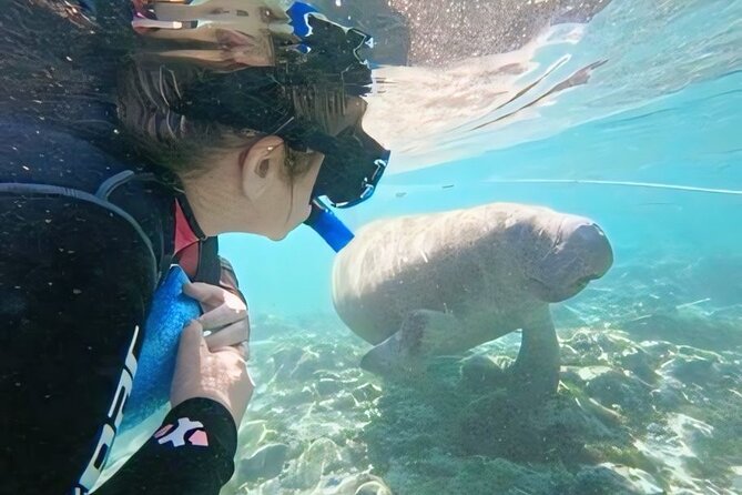 Crystal River: Private Manatee Swim With Heated Boat(Free Photos) - Meeting in Crystal River and getting ready