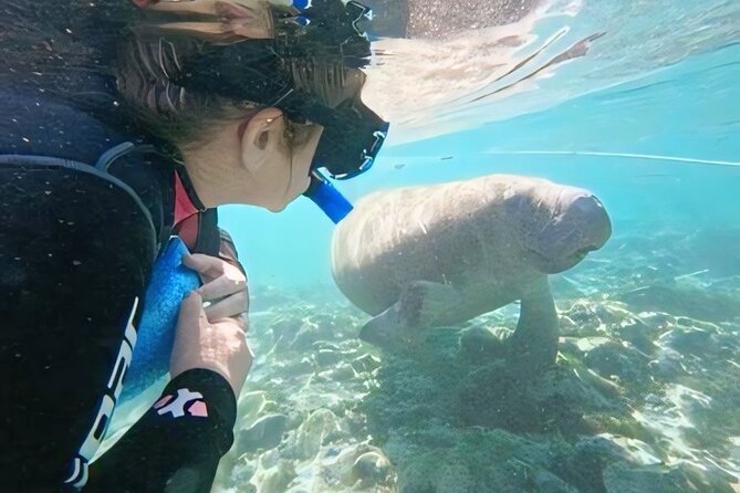 Crystal River: Semi-Private Manatee Swim Tour With Heated Boat - Time in the water and help for nervous swimmers