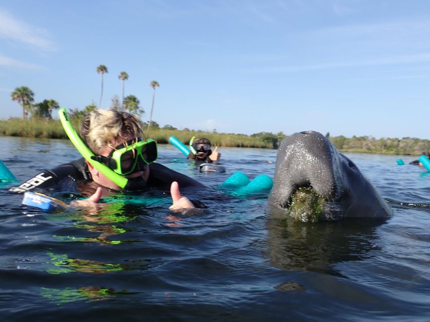 Crystal River: VIP Manatee Swim w/ In-water Photographer - Who should book this experience?