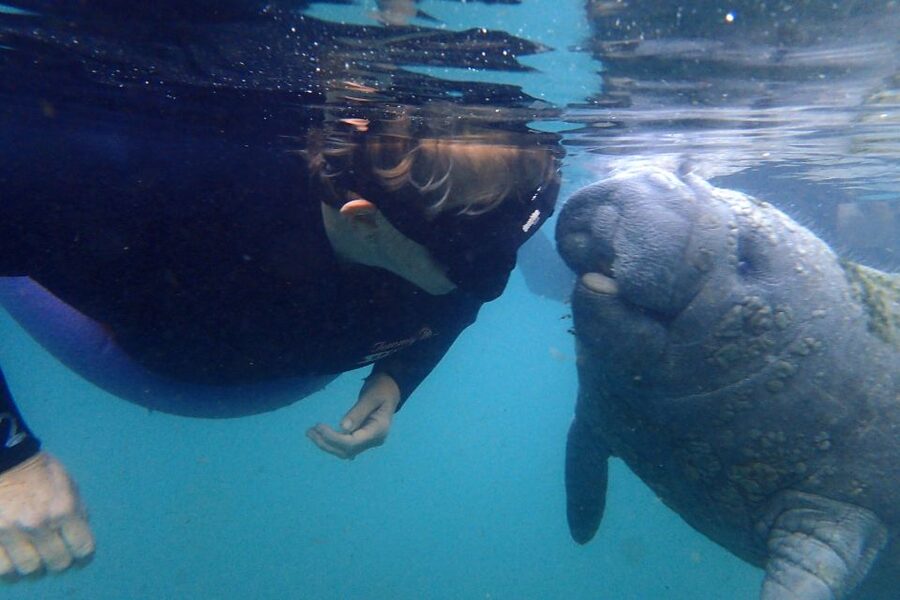 Crystal River: VIP Manatee Swim w/ In-water Photographer - Boarding the covered six-person pontoon
